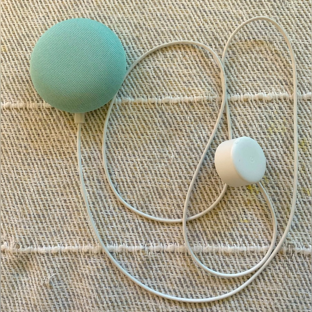 Google Nest Mini with Google Assistant